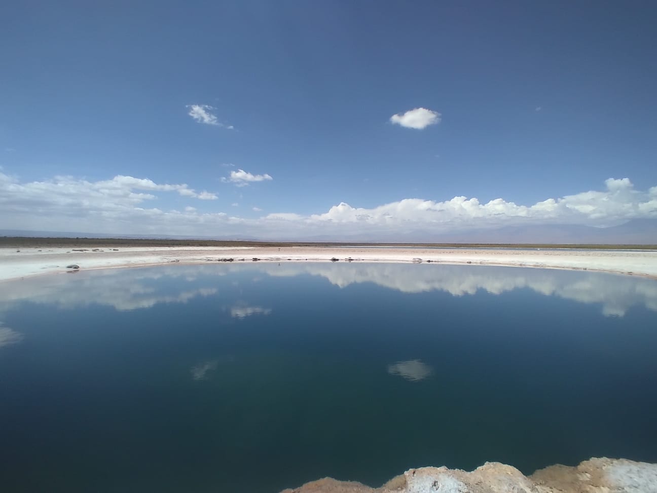 laguna en el Salar de Atacama